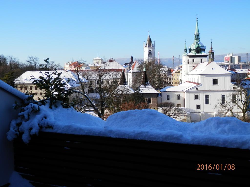 Hotel U Kozicky Teplice Exterior foto